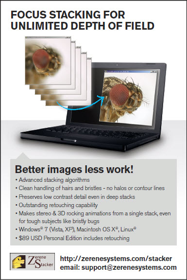 advancedphotographeradvertisement.jpg