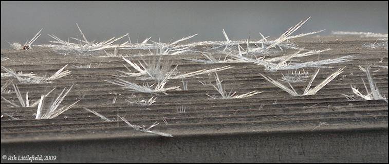 Frost spikes, 3” wide by 4 “ deep, 17 frames.