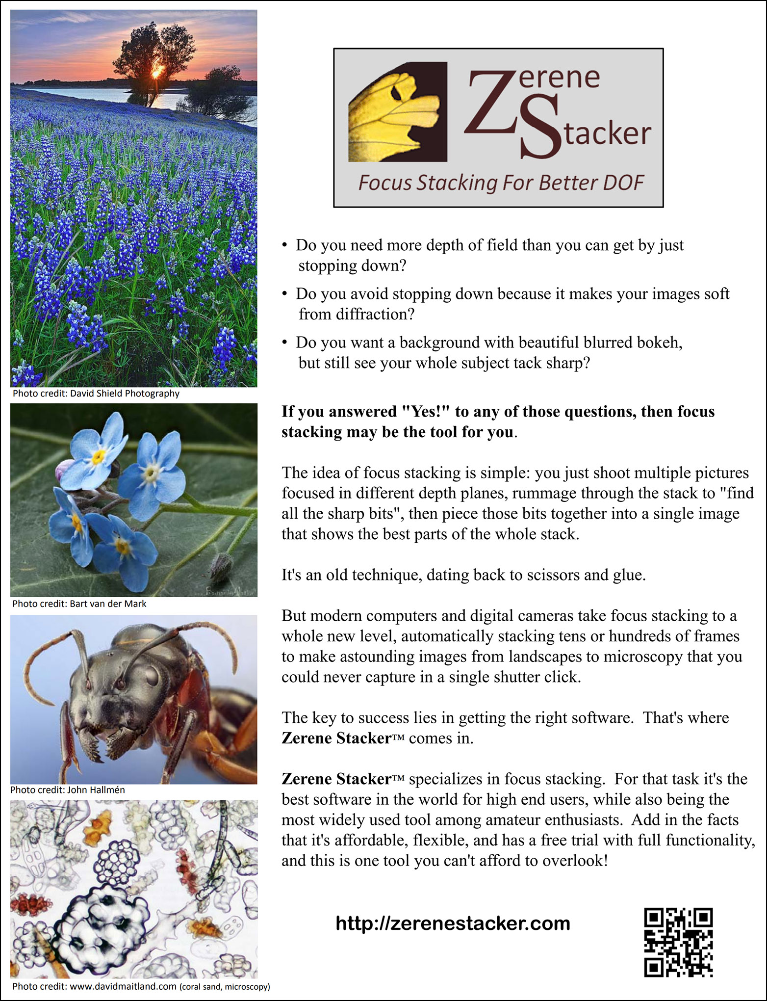 flyerpage1assmallimage.jpg flyerpage1assmallimage.jpg