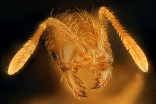 conicalpathpm8x8y-small.gif
